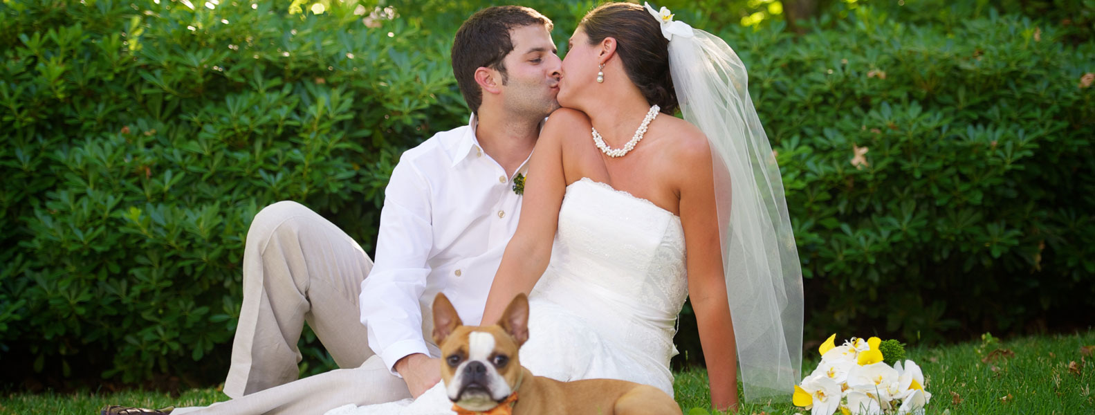 渠道直供的网站防ddos攻击